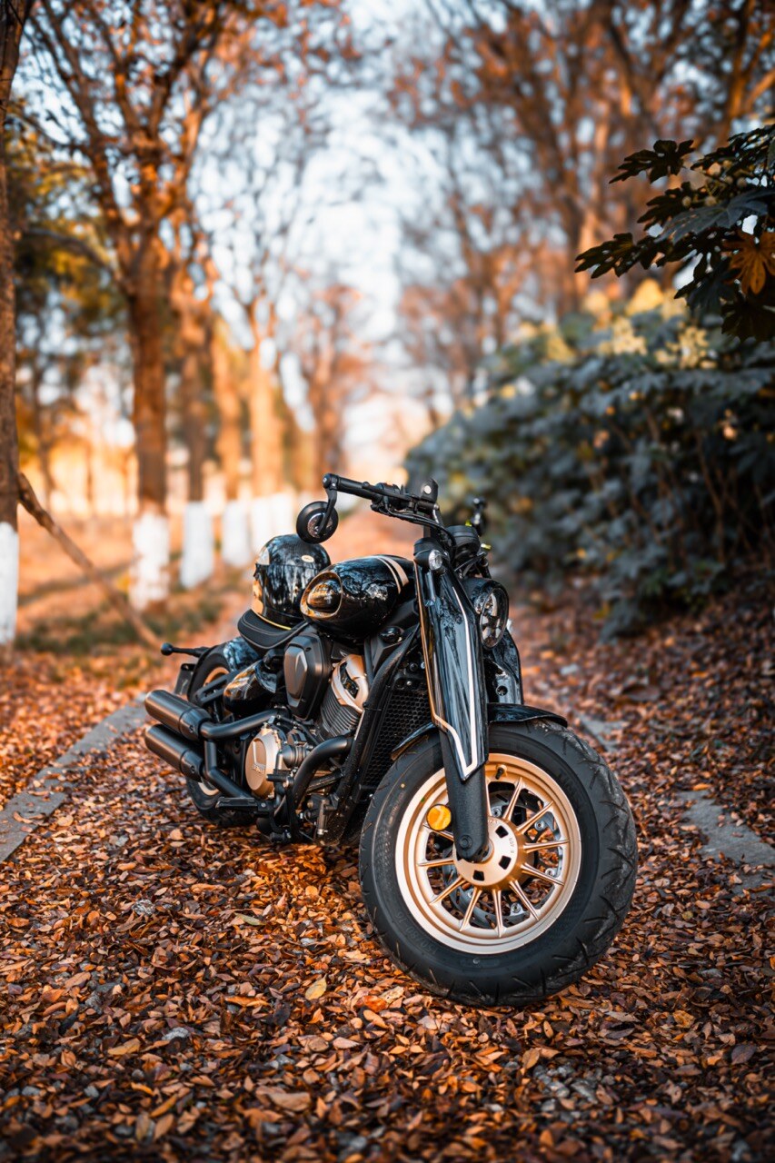 Benda Napoleon 500 Bobber, Phân Phối Chính Hãng, Giá Rẻ Tại Nghệ An