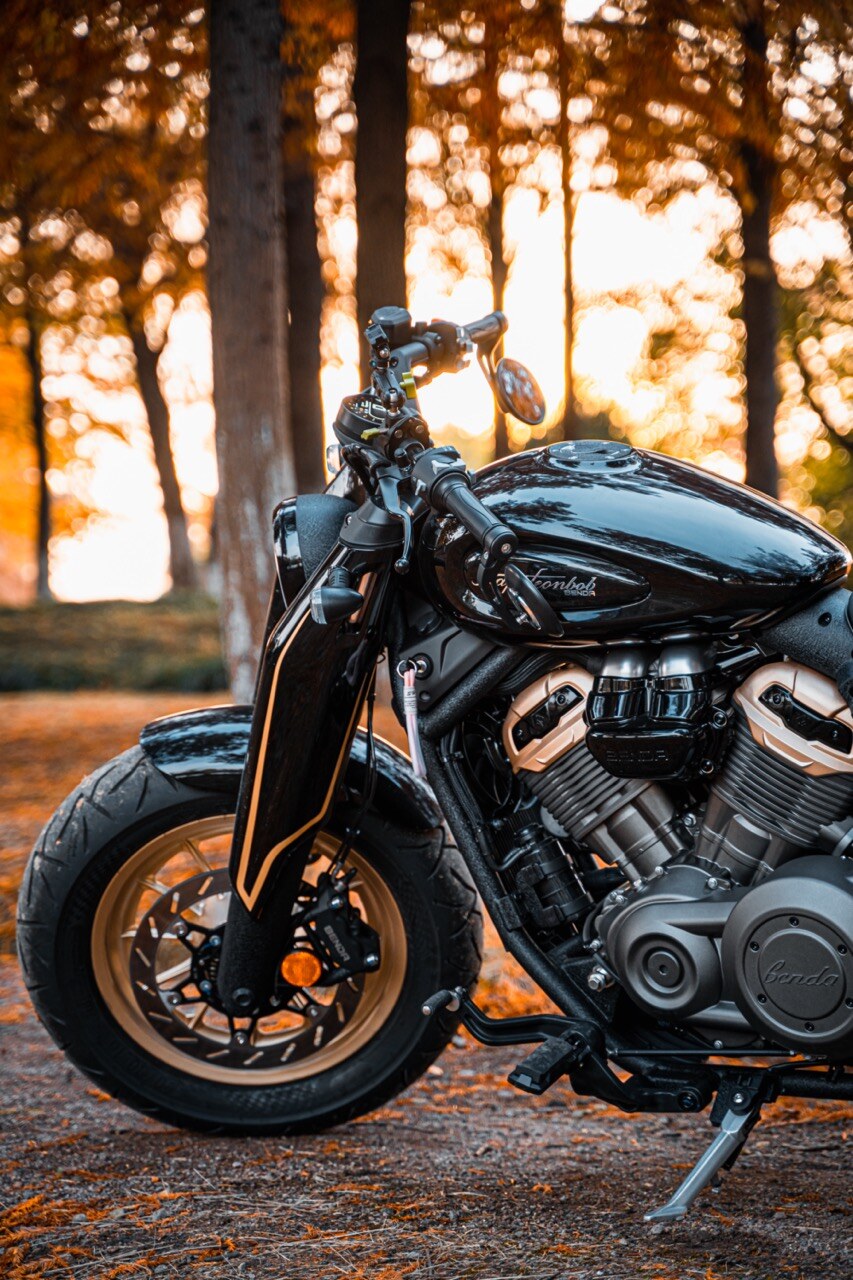 Benda Napoleon 500 Bobber, Phân Phối Chính Hãng, Giá Rẻ Tại Nghệ An