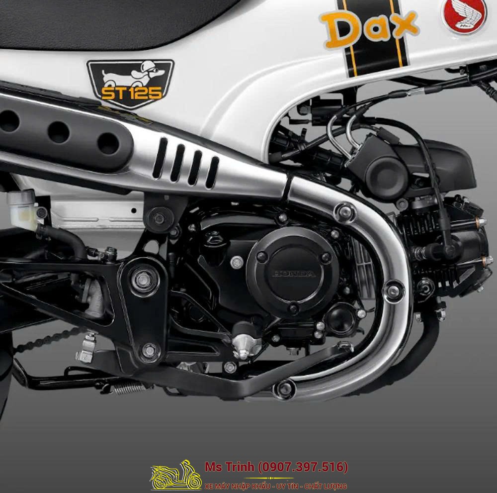 Honda Dax ST125 2026 tại Nghệ An - Minibike huyền thoại khung T-Bone đầy cá tính
